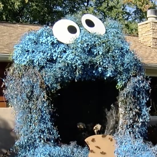 Woman Decorates Front Door to Look Like Cookie Monster