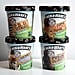 Ben & Jerry's Vegan Ice Cream Taste Test