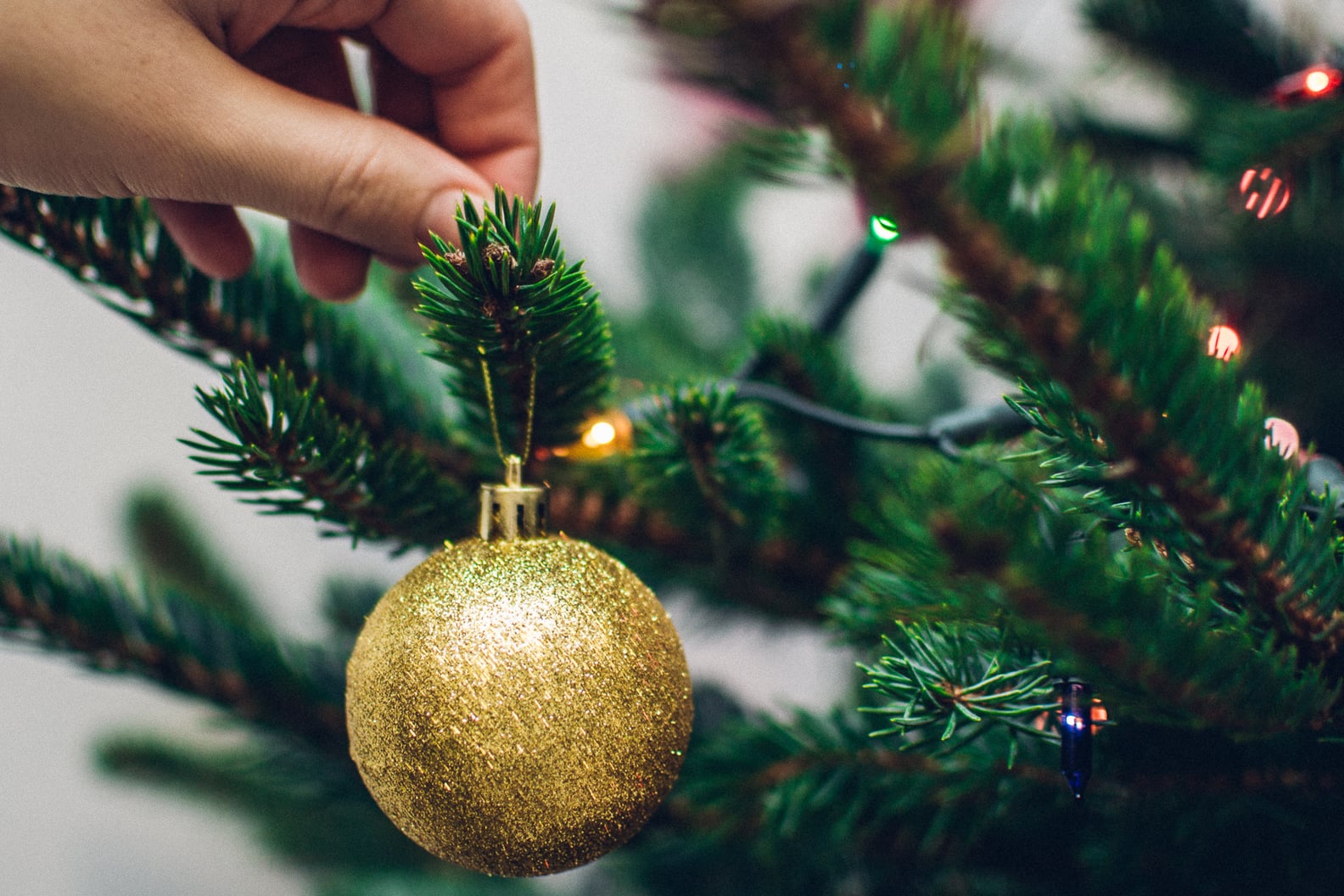 How to Keep a Christmas Tree Alive POPSUGAR Home