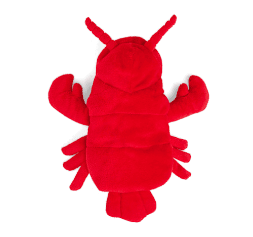 Petco Halloween Costumes: Lobster