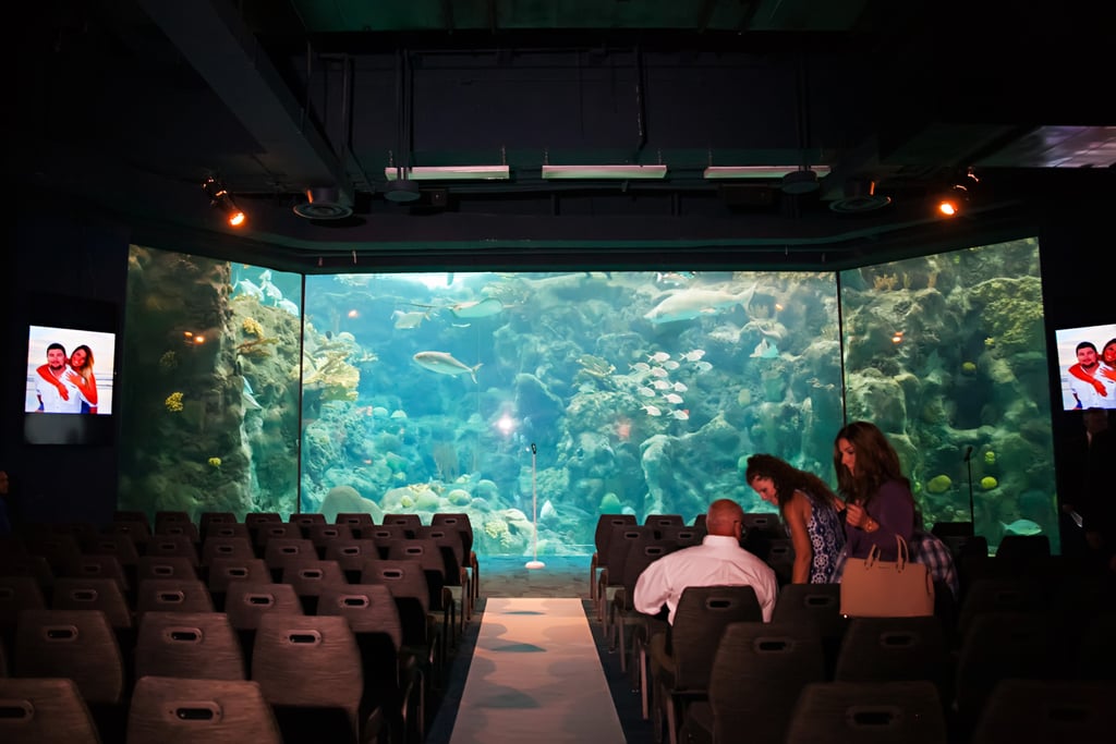 Aquarium Wedding