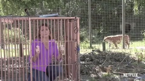 Carole Really Put Herself in a Cage, Huh?