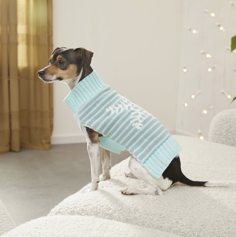 Warm and Cozy Disney Sweaters For Dogs | POPSUGAR Pets