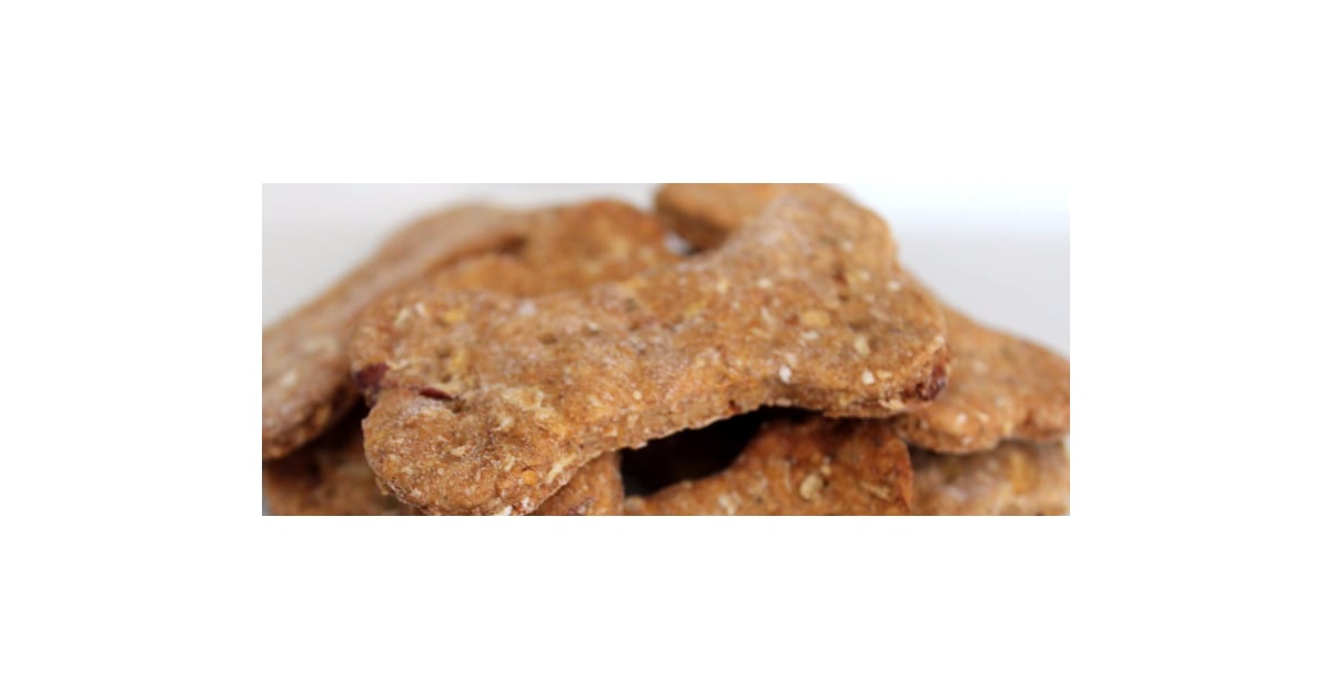 Homemade Dog Treat | POPSUGAR Pets