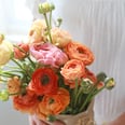 Use the Language of Flowers to Show Your Love This Valentine's Day