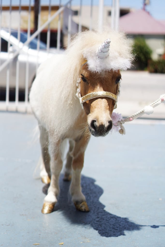 Whimsical Unicorn Birthday Party