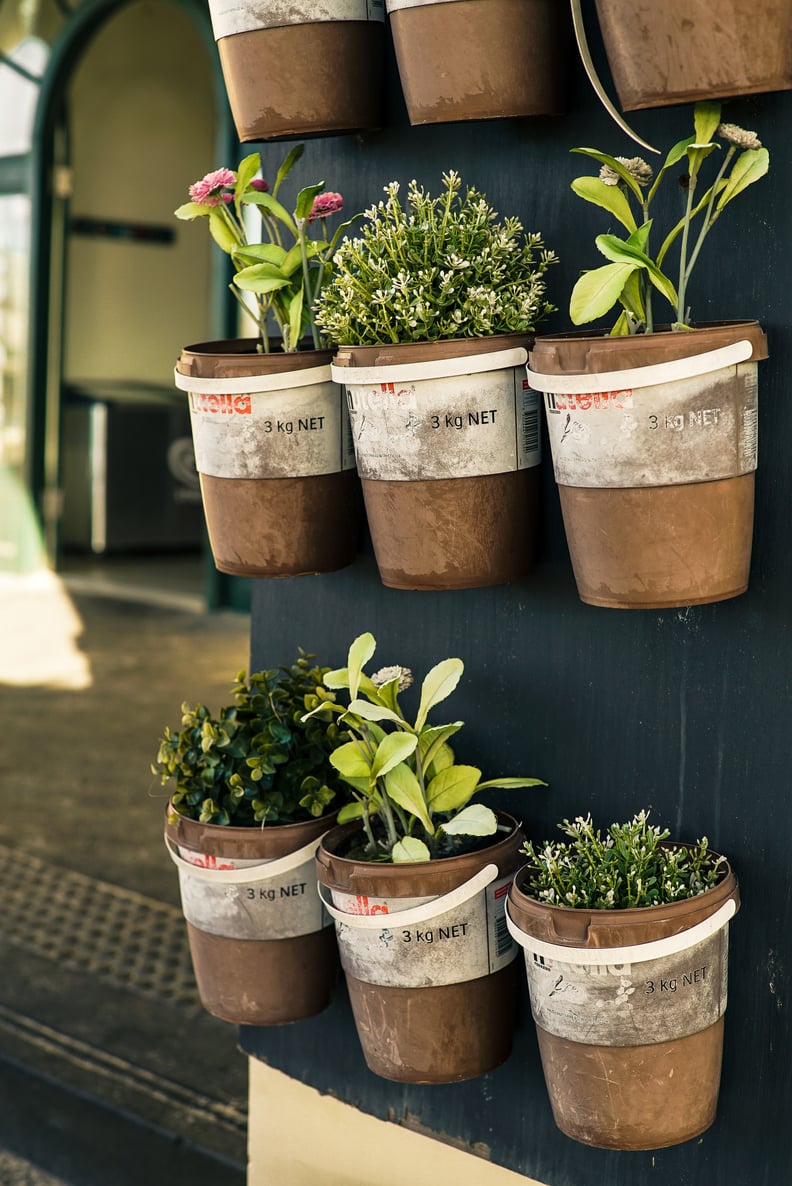 Plant an Herb Garden.