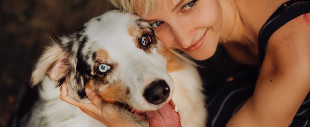 A Pet Owner's Guide to Keeping Your Home Clean and Comfy