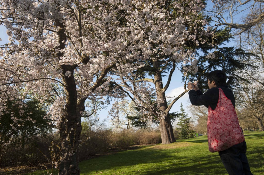 Pictures of England's Bank Holiday April 2015