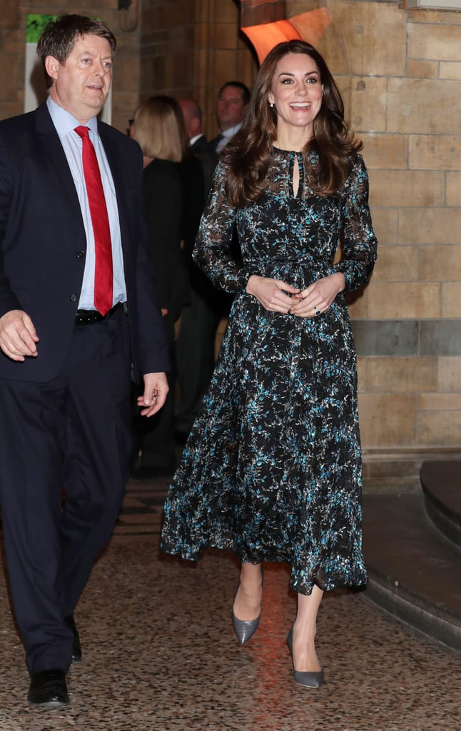 Midi Dresses With a Blouse Sleeve