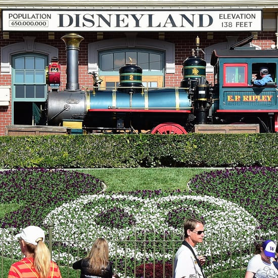 Health Officials Say That Disneyland Measles Were Avoidable