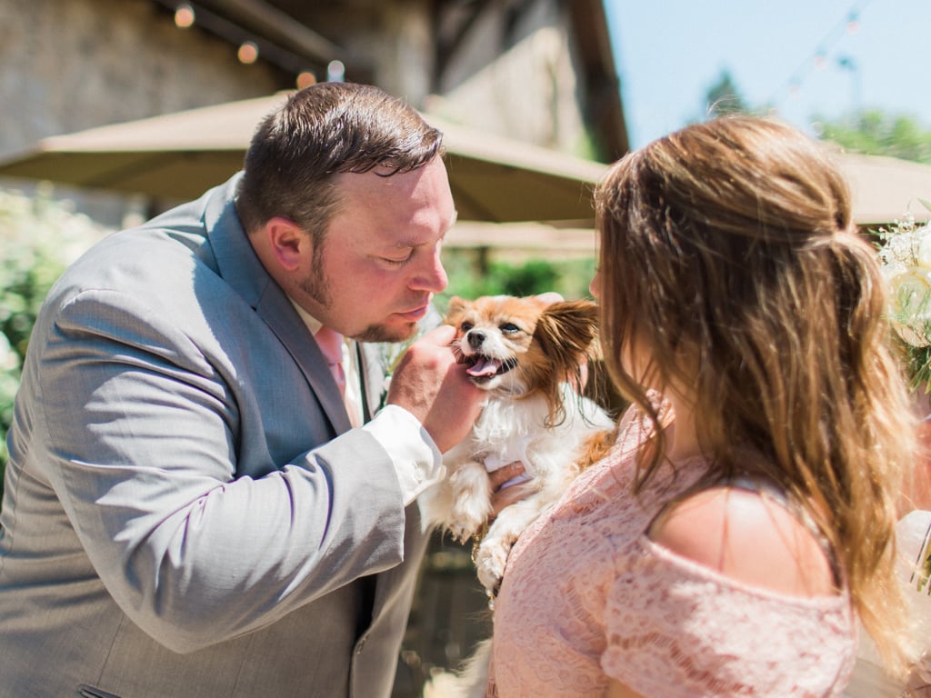 Dogs in Weddings