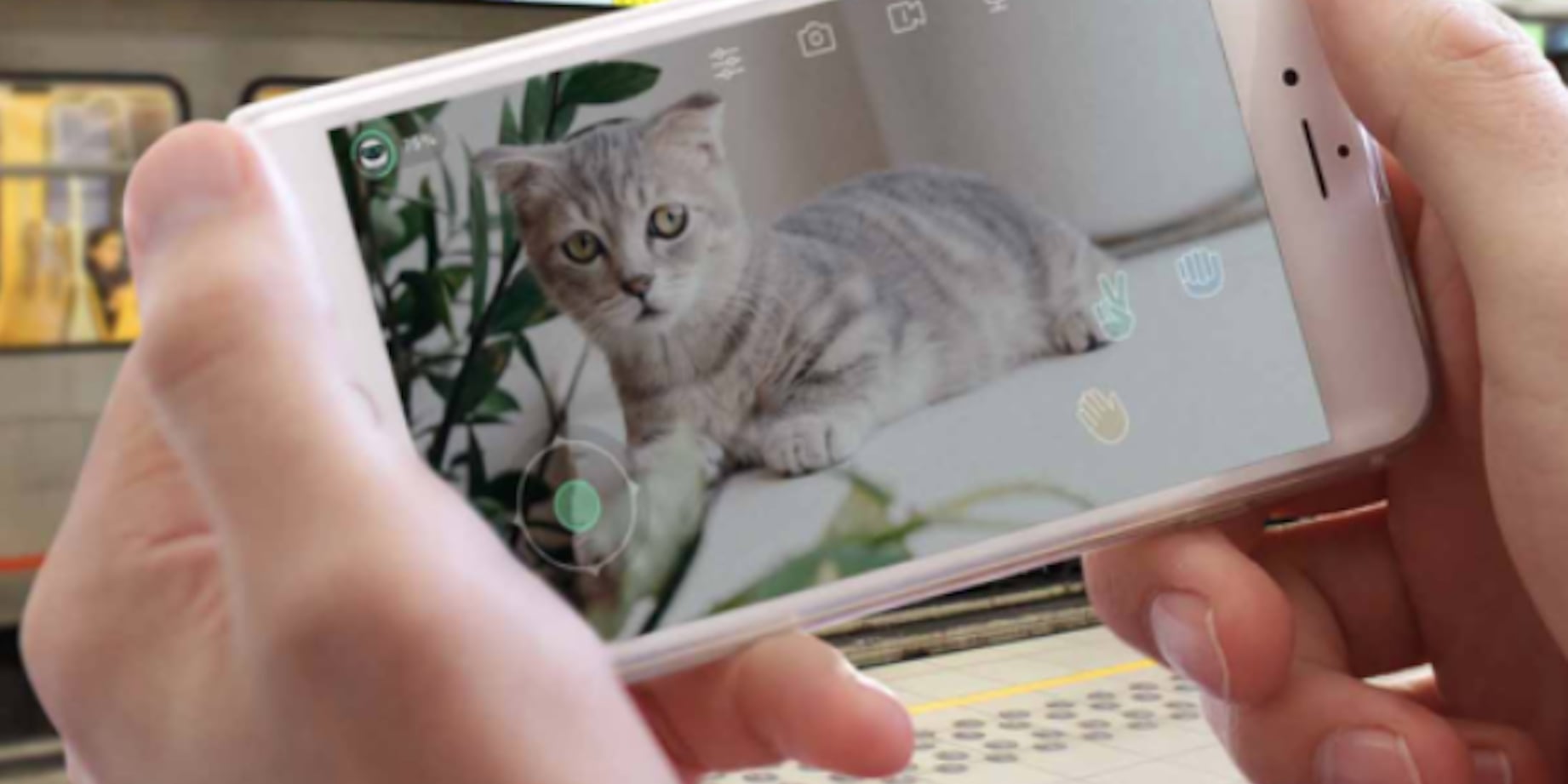 Best Robot Toy For Bored Cats POPSUGAR Pets