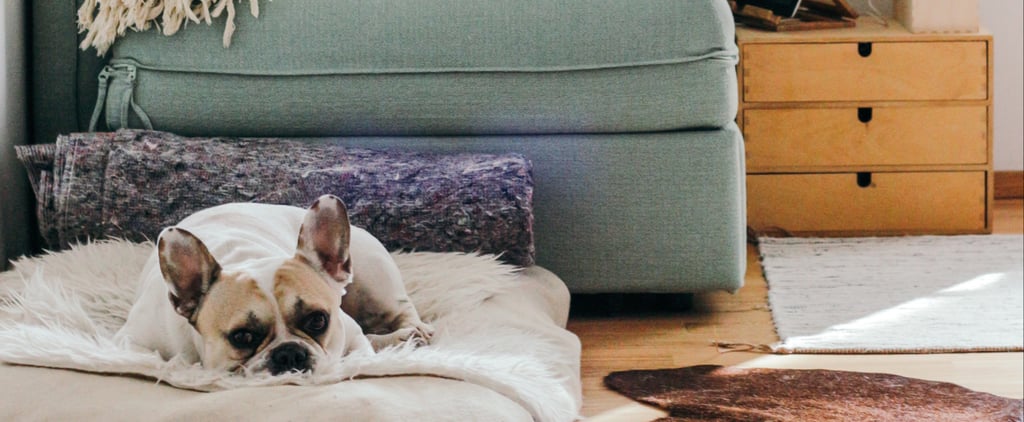 8 Things You Can Do Right Now to Limit Dust in Your Home