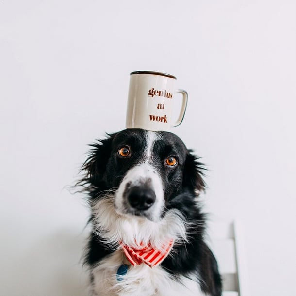 Take a look at this adorable face!