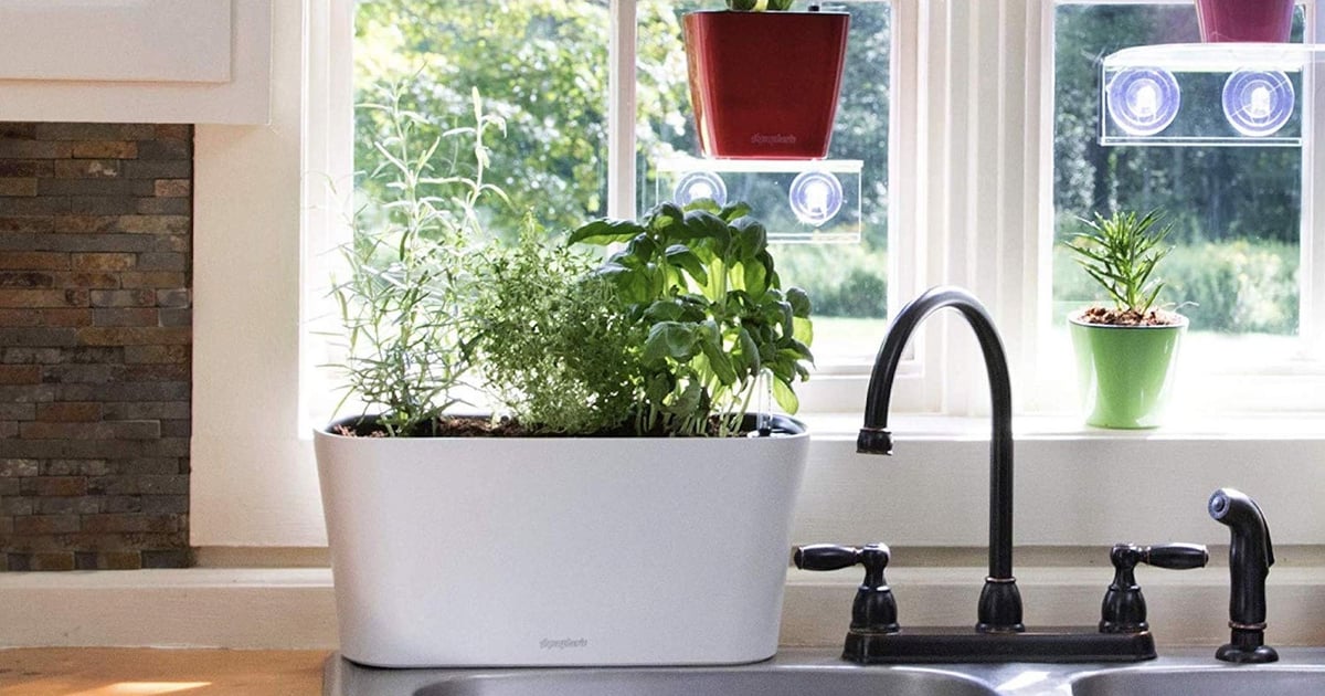 Best Herb Planters POPSUGAR Home