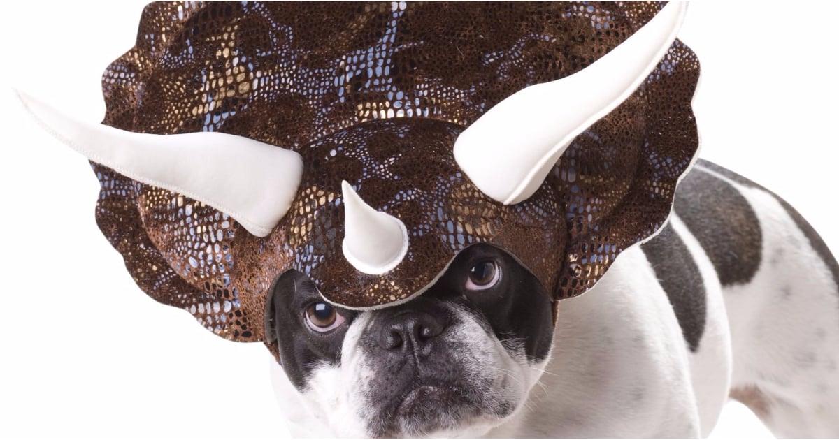 Top Pet Halloween Costumes 2015 POPSUGAR Pets