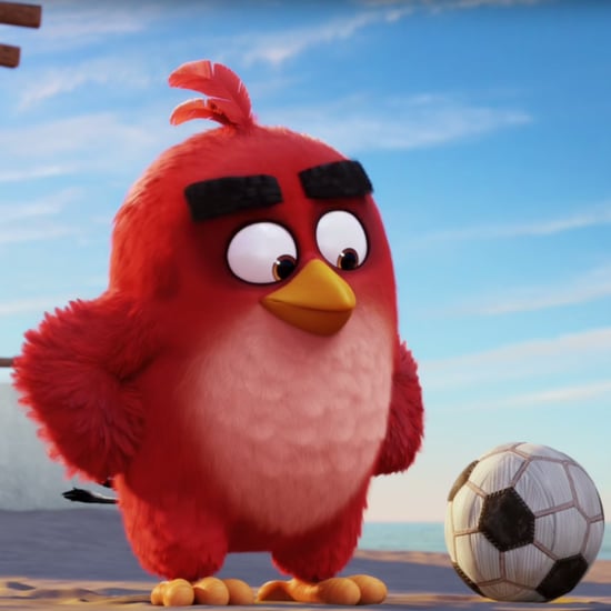 Reasons to Watch The Angry Birds Movie