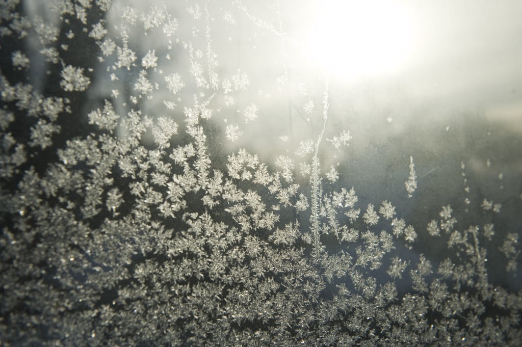Ice crystals covered a window in Minneapolis, MN, during the polar vortex.