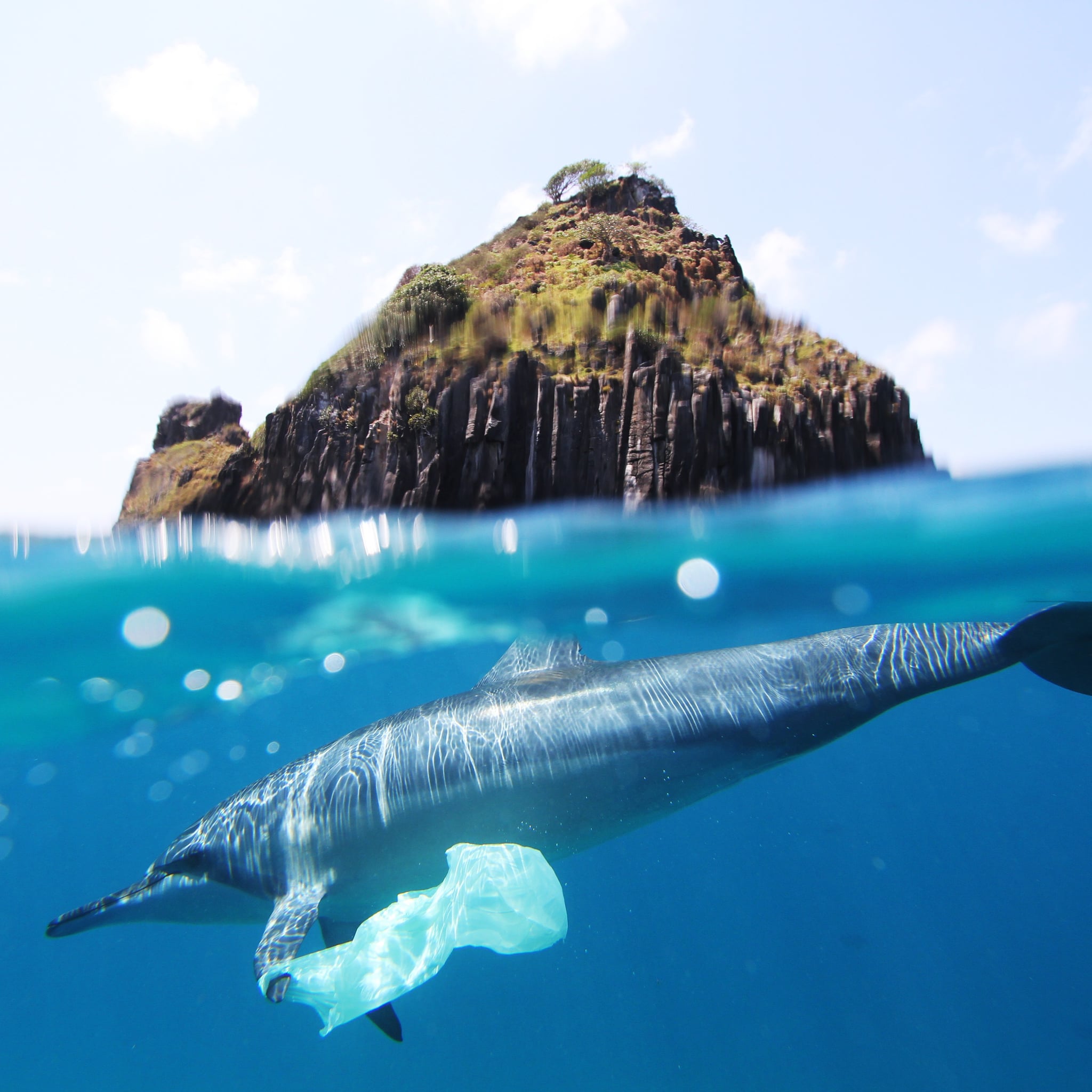 Kevin Murphy Recycled Ocean Plastic Bottles Popsugar Beauty