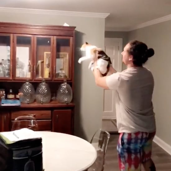 Man Helps Cat Catch a Moth | Video