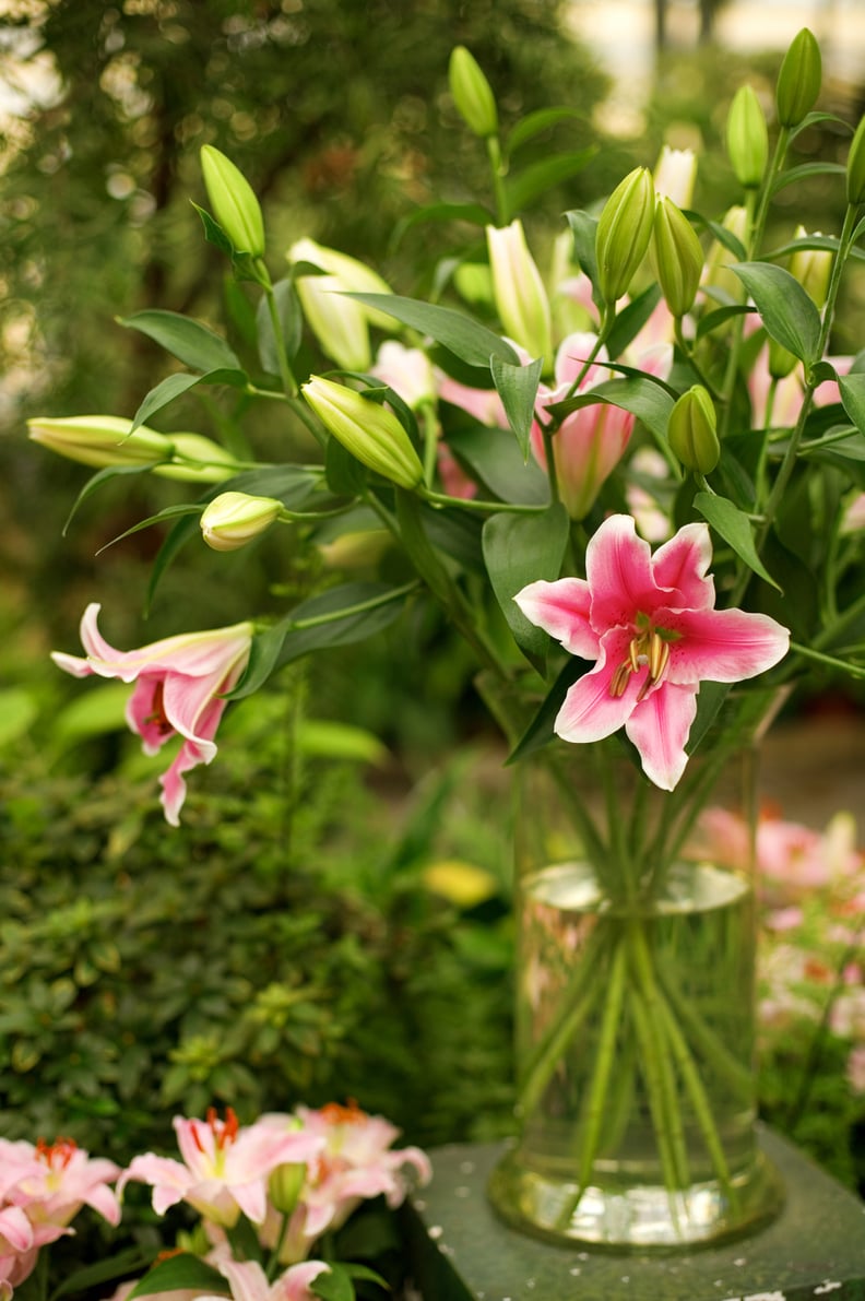 They Need TLC in a Bouquet