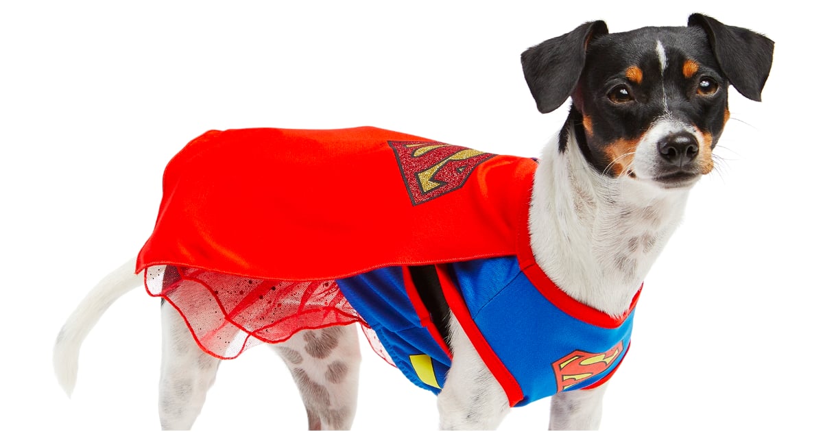 Superhero Costumes For Dogs Popsugar Pets