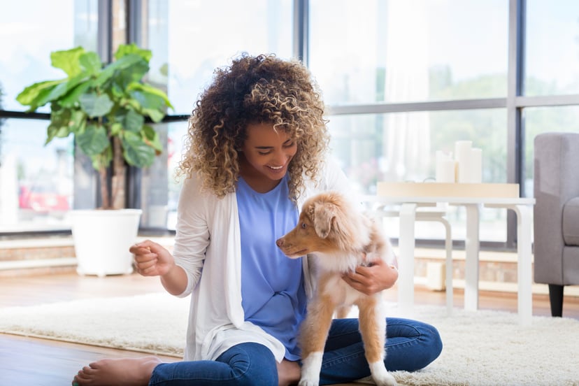Happy young woman trains adorable puppy. She is sitting in her living room.