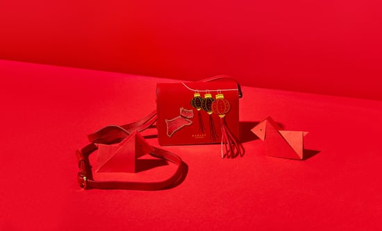 radley chinese new year bag