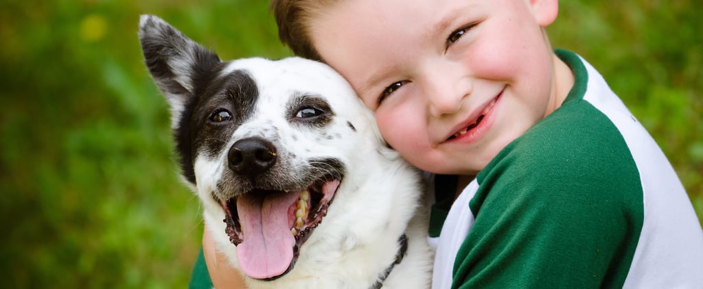Video of Boy Reunited With His Missing Dog