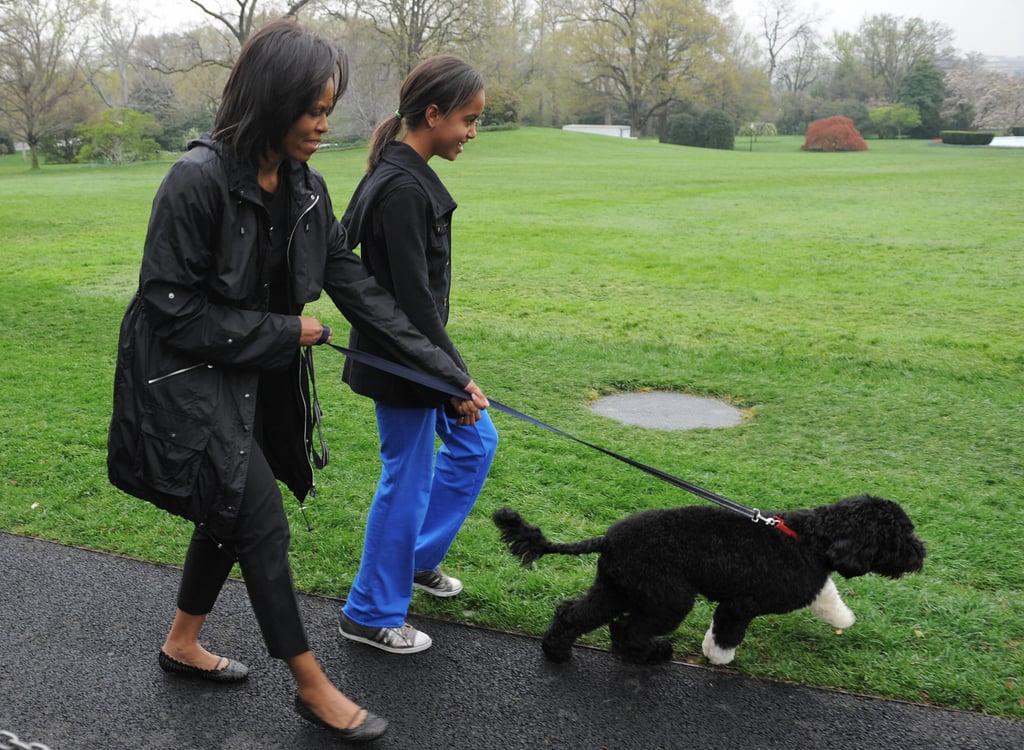 In April 2009, Michelle and Malia took the newest addition to the family — Bo Obama — for a walk.