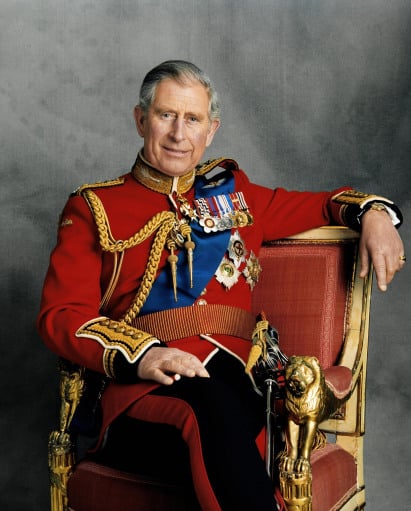 Prince Charles looked at ease in the portrait commissioned for his 60th birthday. The relaxed demeanor contrasted with the formal uniform. 
Source: