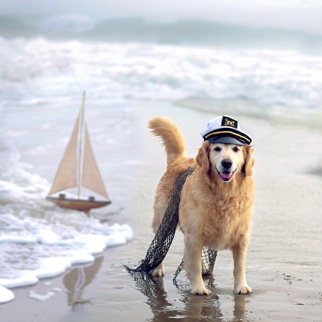 Walk With Me?