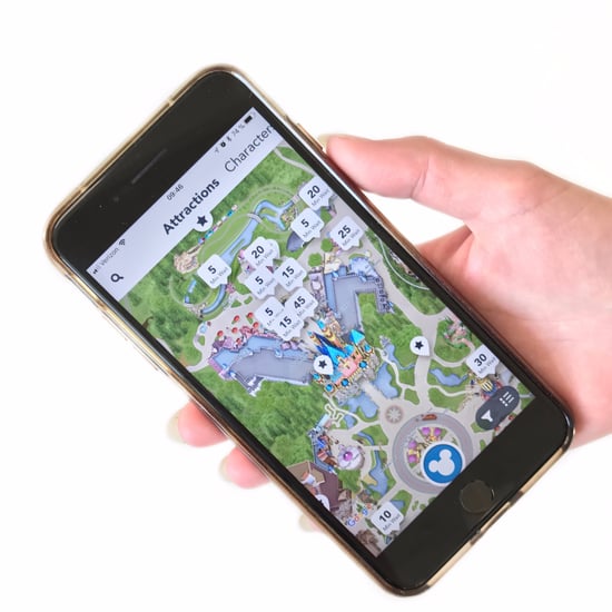Disneyland Maxpass Tips