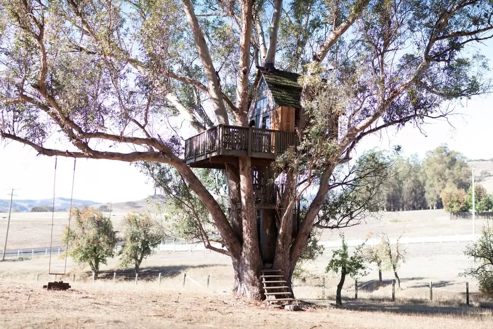 Swallowtail Studios Tree House, Petaluma, CA