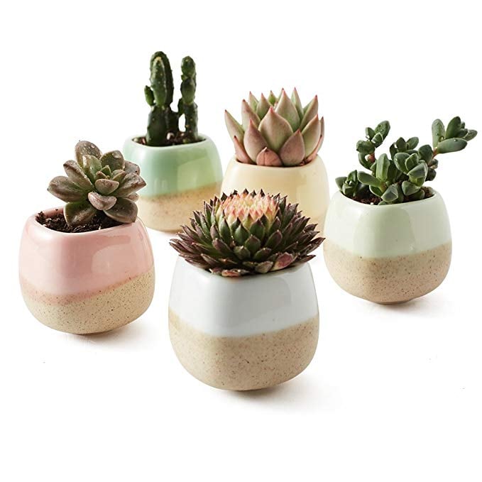 Sun-E 5 Planter Set