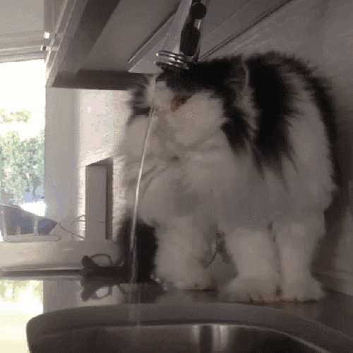 Skipping a Wash Is a Thing of the Past