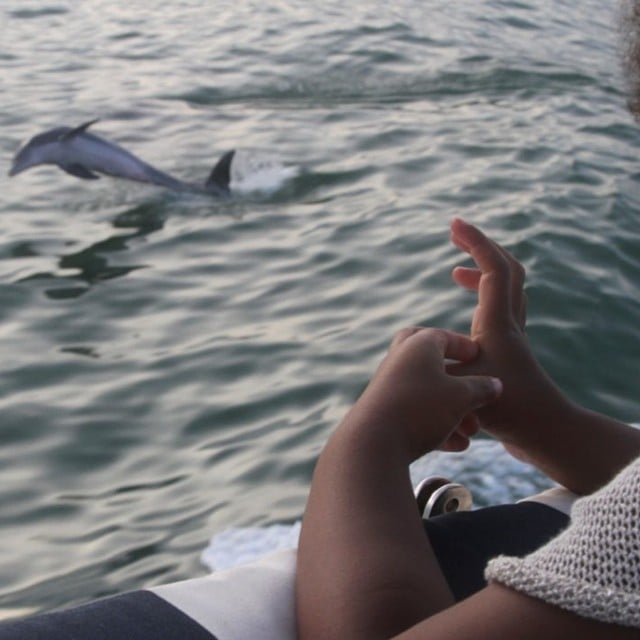 Blue Carter caught a dolphin show from the deck of a boat.
Source: Instagram user beyonce