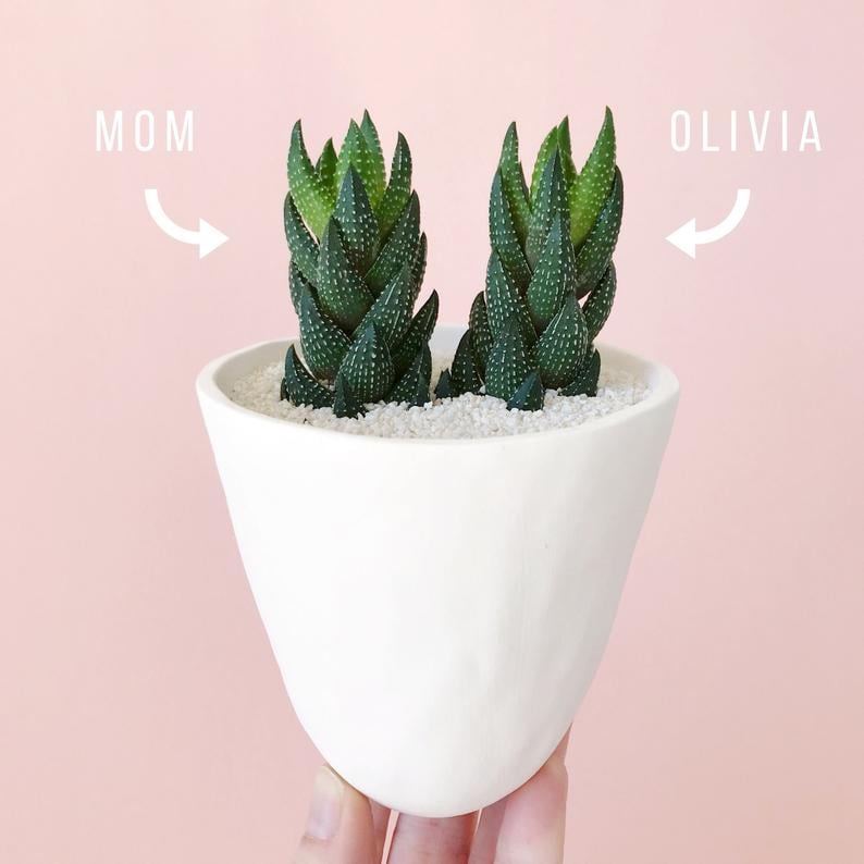 Always Together Succulent and Handmade White Ceramic Planter