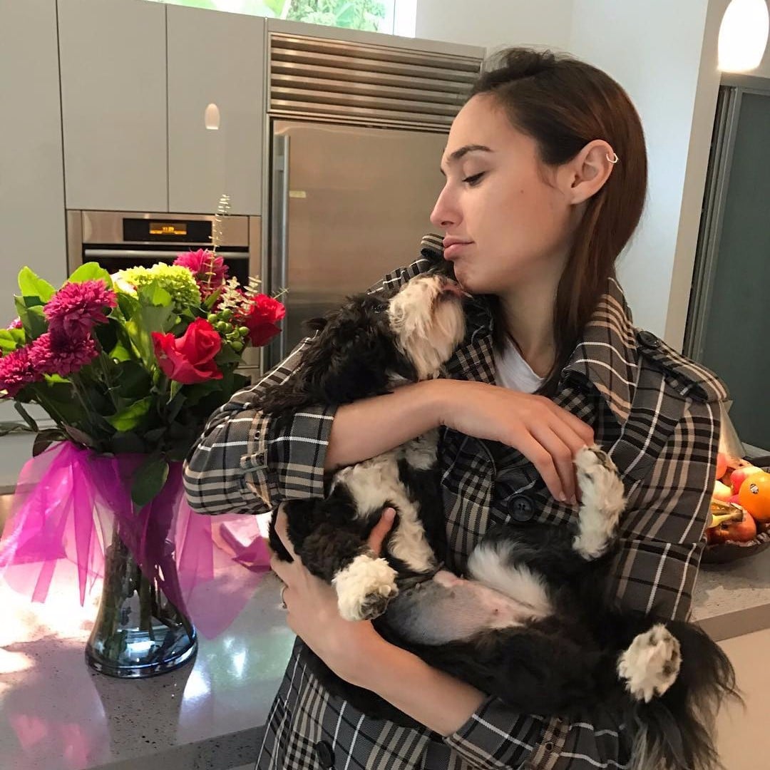 Gal Gadot S House Popsugar Home Born 30 april 1985) is an israeli actress, producer, and model.