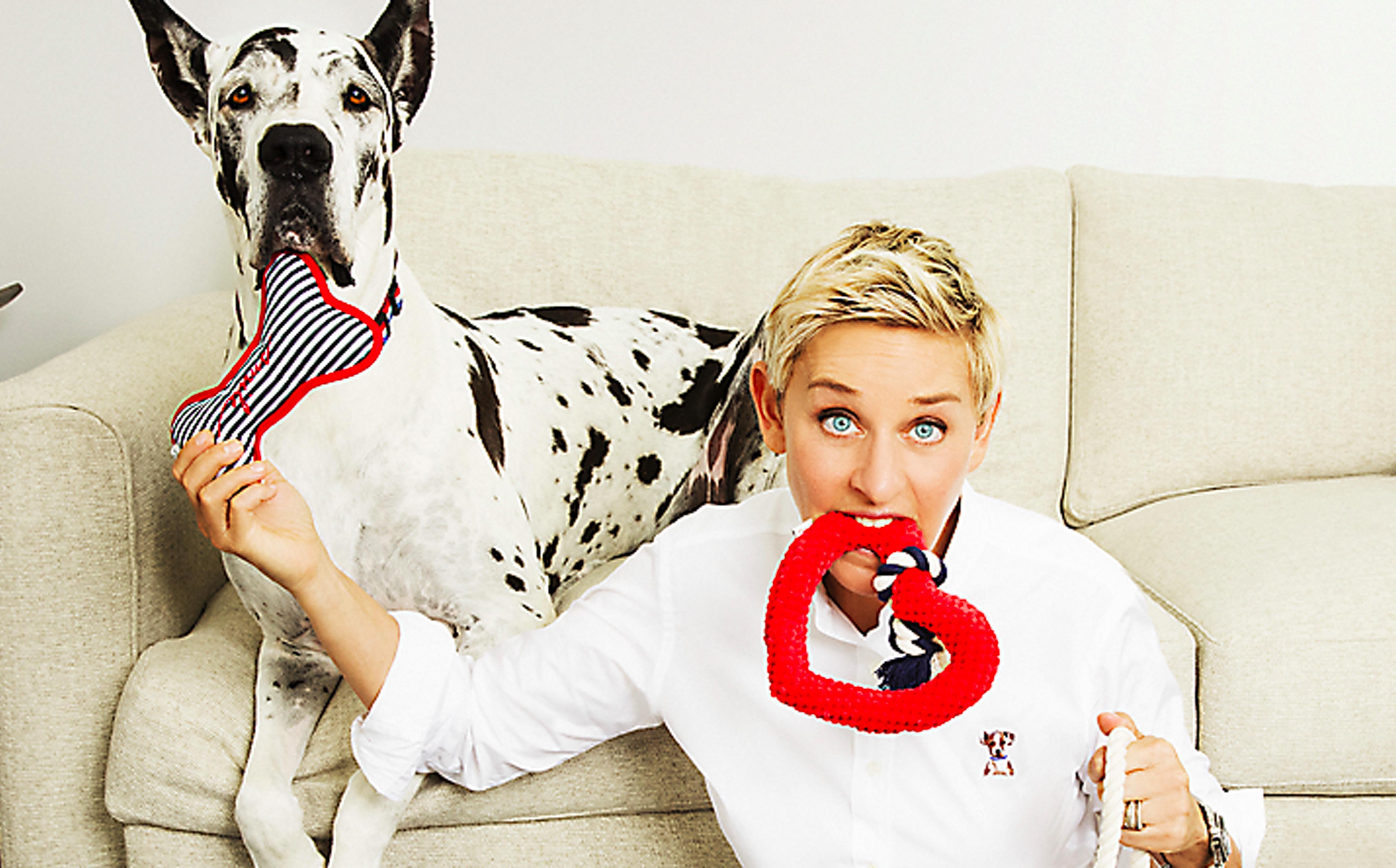 Ellen DeGeneres x PetSmart Dog Toys POPSUGAR Pets