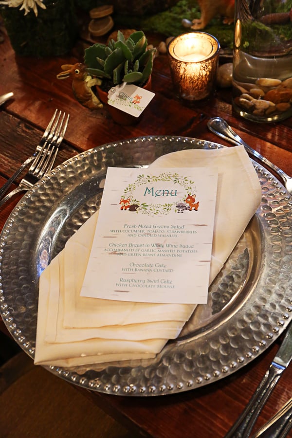 Shabby Chic Woodlands Baby Shower