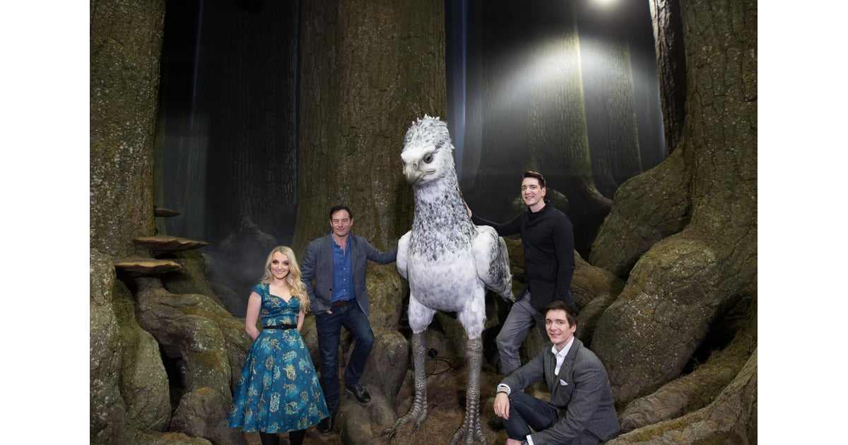 Forbidden Forest Harry Potter London Photos  POPSUGAR 