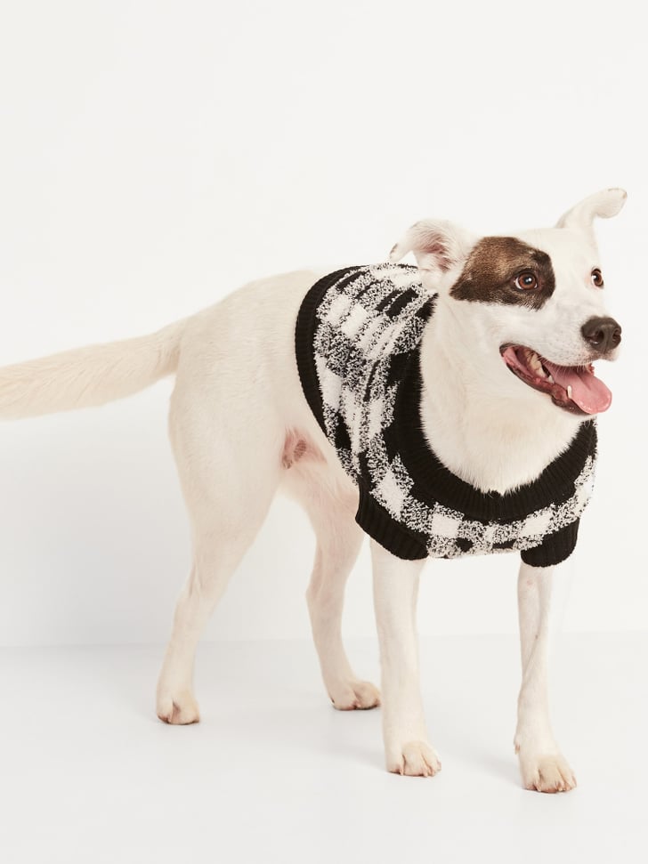 Cozy Sweater for Pets Old Navy Dog Clothes POPSUGAR Pets Photo 10