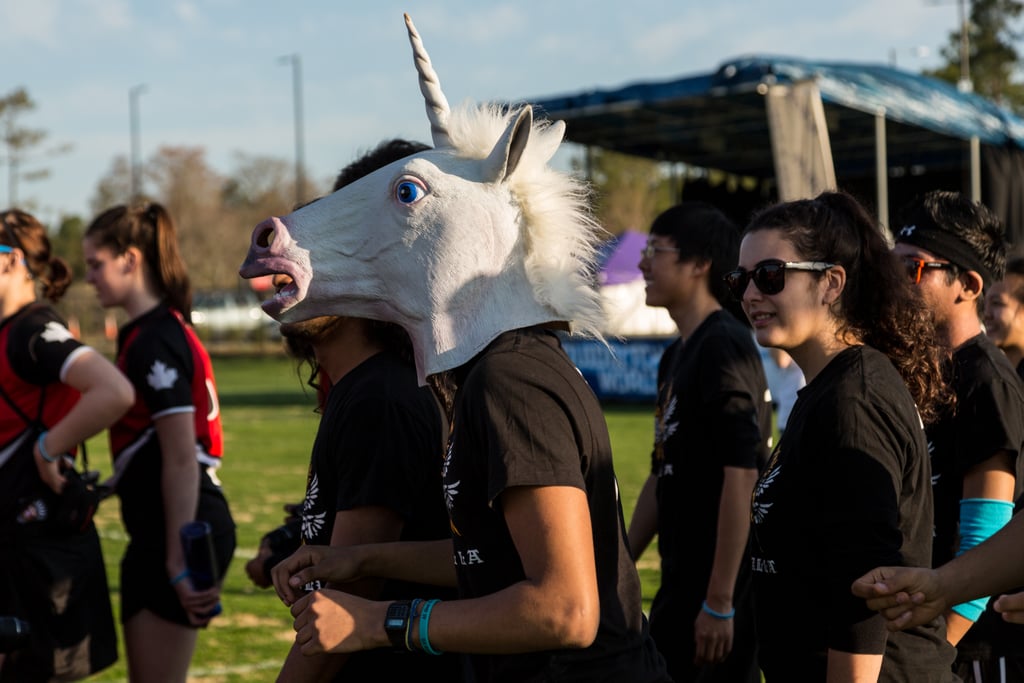 Quidditch World Cup 2014 | Pictures