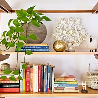 9 Great Houseplants For Low Light