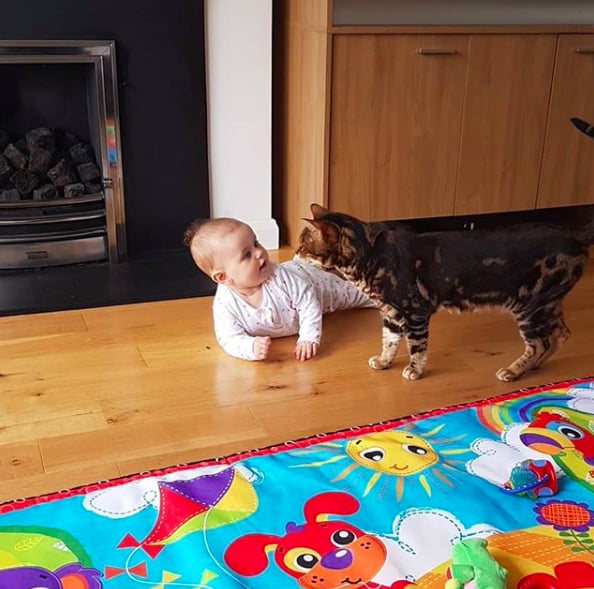 "And where do you think you're going?"
