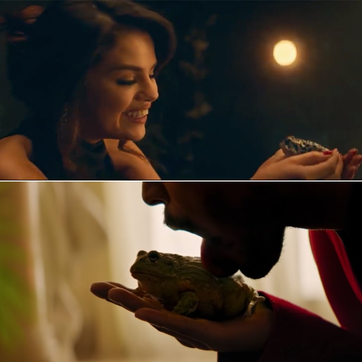 The Toads *Insert Eyes Emoji Here*