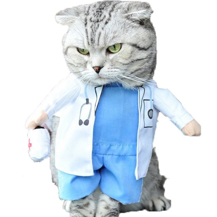 Cat Doctor Costume If You Think I m Not Dressing My Cat Up in 1