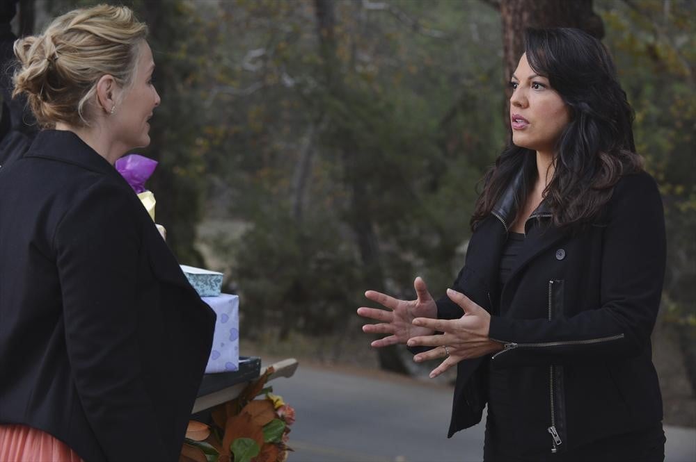 Callie and Arizona: Buying a House